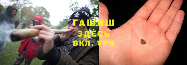 прущие грибы Армянск