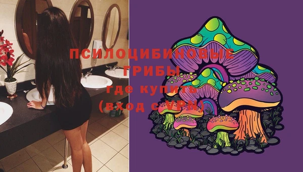 мяу мяу мука Арсеньев