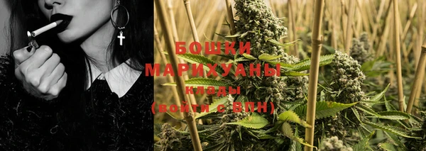прущие грибы Армянск