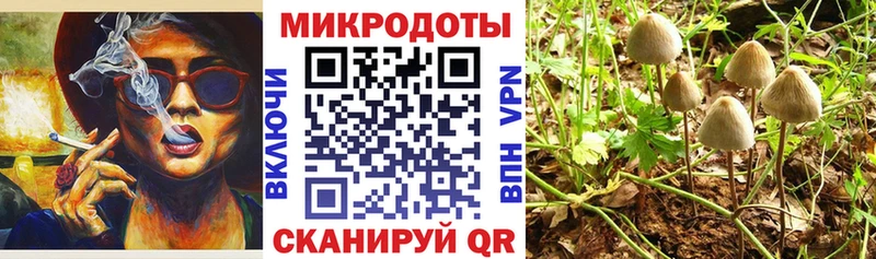Галлюциногенные грибы Magic Shrooms  мега ссылка  Сусуман 